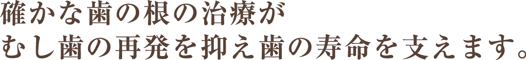 確かな歯の根の治療がむし歯の再発を抑え歯の寿命を支えます。